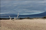 View at Fernandina Island